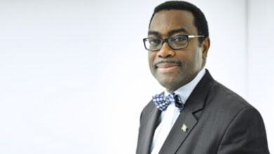 Akin-Adesina