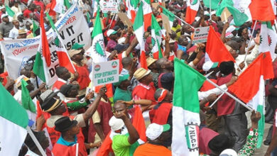 NLC tasks FG on urgent intervention