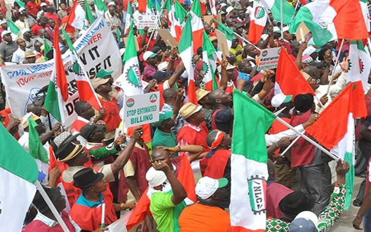 NLC tasks FG on urgent intervention